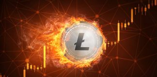 Litecoin Cost Escalates Over 30% to $43, LTC Retakes No. 4 Area by Market Capitalization