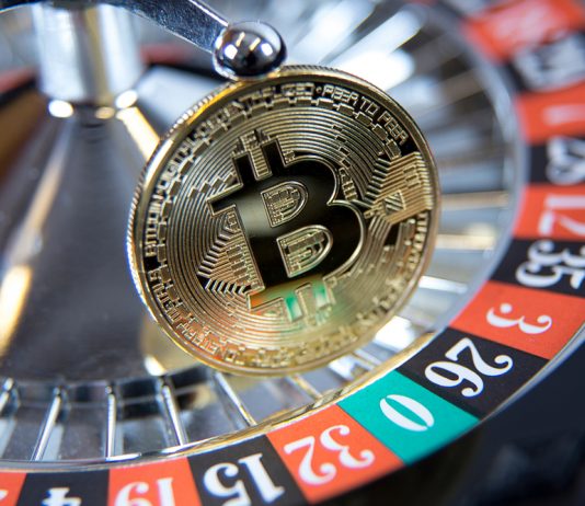 Investor Loses Bitcoin Bet, However Doubles Down on Crypto