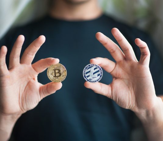 Litecoin Enormously Exceeded Bitcoin Considering That November Sell-Off By 4x