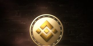 Binance Coin Debate: Love it or Dislike it BNB Keeps Climbing Up