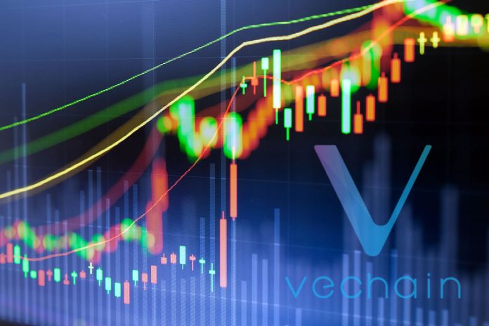 Crypto Market Wrap: What Triggered VeChain to Rebound as Markets Cool?