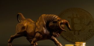 Bitcoin (BTC) Blows Up Previous $4,100 With Record Exchange and Futures Volume, Is It a Dead Feline Bounce? Bitcoin (BTC) Blows Up Previous $4,100 With Record Exchange and Futures Volume, Is It a Dead Feline Bounce?