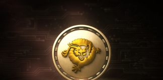 Bitcoin SV (BSV) Rises 20%, Has Satoshi Found His Vision?