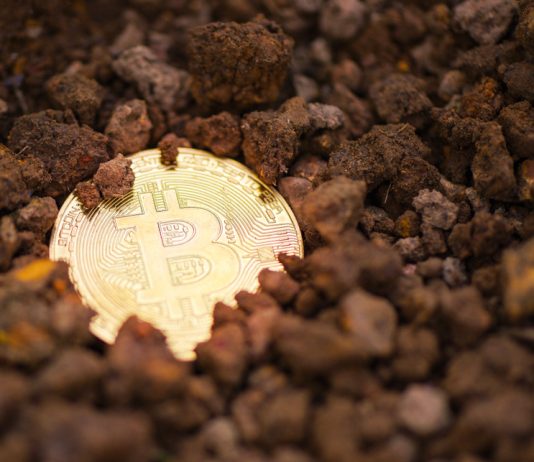 Crypto Professionals Predict $2,400 Bitcoin Bottom, Anticipate Facilities To Trigger Bull Run Crypto Professionals Predict $2,400 Bitcoin Bottom, Anticipate Facilities To Trigger Bull Run