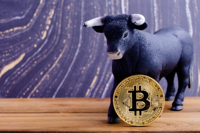 Near Record-Breaking Low Volatility Might Precede a Bitcoin Bull Run