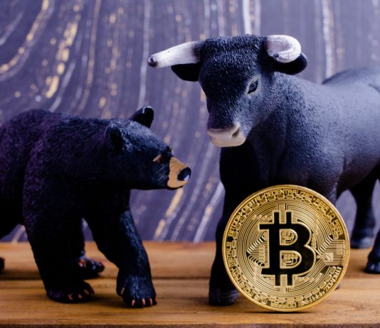 Find the Distinction: Bitcoin Bulls Versus Bitcoin Bears