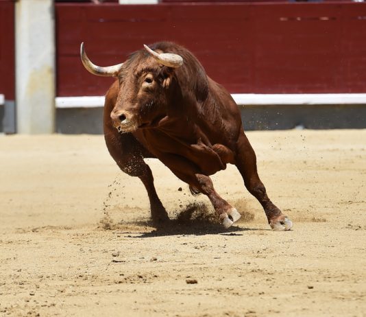 If Genuine, Flourishing Crypto Volume Might Press Bitcoin Into “Raging Booming Market”