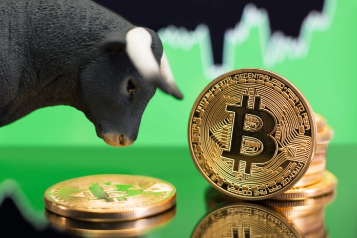Expert: Bitcoin Is a Bull, High Possibility of $5,000 by May