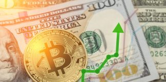 Bitcoin In Longest Uptrend of Existing Bearish Market, However Experts Anticipate New Lows
