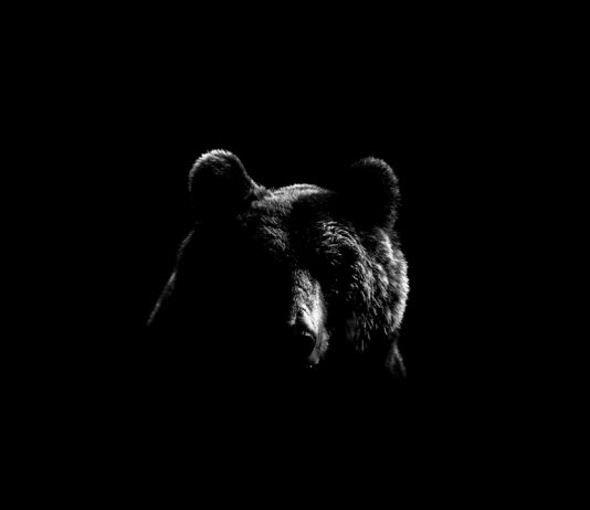 88% of Crypto Volume Could Be False: Is Bitcoin Rate Drop Inevitable?