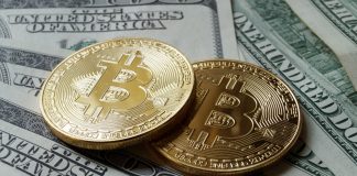 Bitcoin Volatility Dives as BTC Cost Stays Steady Around 3,900, However More Losses Might impend