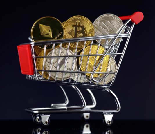 Altcoin Hostility: Survey Reveals That Two-Thirds of Crypto Investors Are Bitcoin Maximalists