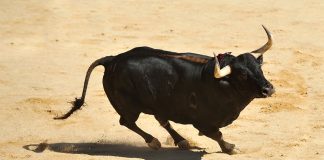 Bitcoin Crosses Above $4,000: Genuine Rally or Bull Trap?