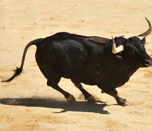 Bitcoin Crosses Above $4,000: Genuine Rally or Bull Trap?