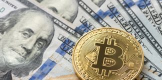 Popular Academic: Bitcoin and Crypto Not Real Currencies Till They Can Develop Stability Popular Academic: Bitcoin and Crypto Not Real Currencies Till They Can Develop Stability