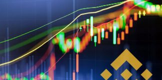 Crypto Market Wrap: BNB and BitTorrent Token (BTT) Defying Sunday Correction