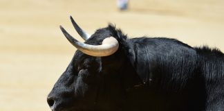 Bitcoin Rallying Above $4,000 Might be Due to Bitmex Futures: Expert