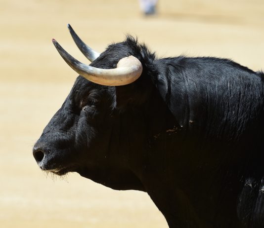 Bitcoin Rallying Above $4,000 Might be Due to Bitmex Futures: Expert