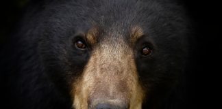 Crypto Market Execs: This Bitcoin Bearishness Is The Very Best Yet