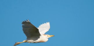 EOS Cost Trending in Green Following 11.92% Rise– Can It Increase More?