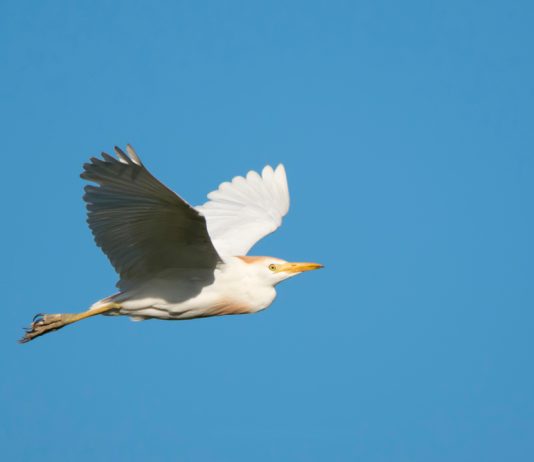 EOS Cost Trending in Green Following 11.92% Rise– Can It Increase More?