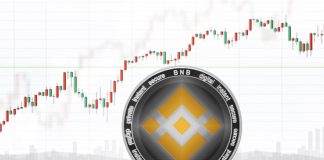 Binance’s BNB Leads Leading 10 Cryptos in Q1 2019, Increases 185%