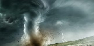Perfect Storm Developing For Bitcoin: Macro Aspects Setting Phase For Crypto Rally