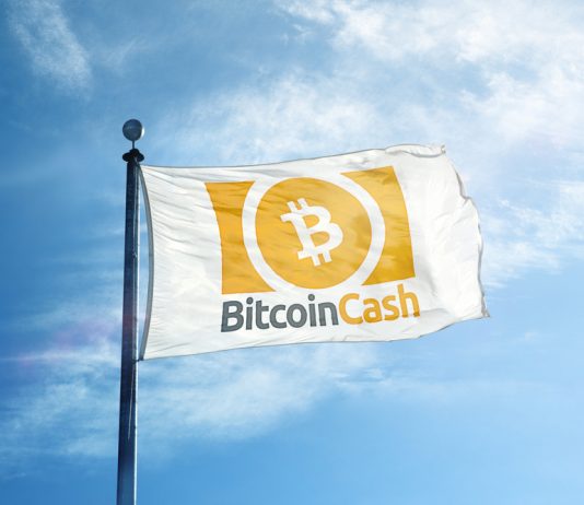 Crypto Bulls Return? Bitcoin Money (BCH) Doubles in Rate in Simply 48 Hours