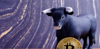Technical Indication Signals That Bitcoin (BTC) is All Set to Rise Almost 200%