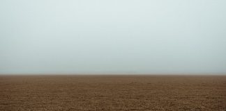 New Experiments Might Permit Bitcoin Traders to Find Cost Bottoms