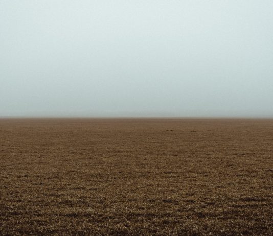 New Experiments Might Permit Bitcoin Traders to Find Cost Bottoms