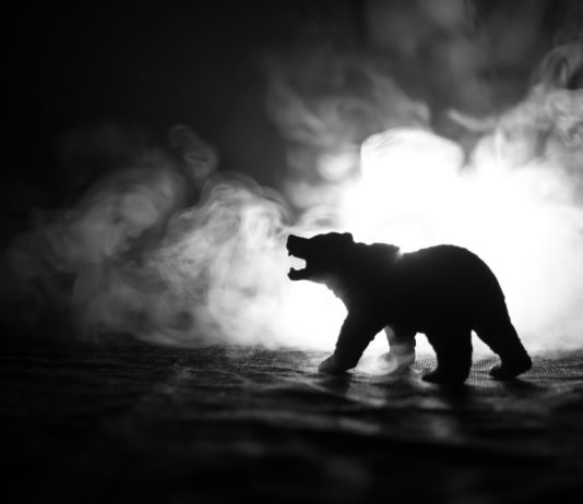 Is the Bitcoin Rally Now in Jeopardy? Why Traders Are Intending $4,600