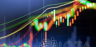 Crypto Market Wrap: IOTA FOMO Keeping Markets Steady