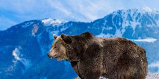 Bitcoin Goes Beyond $100 Billion, Yet Former Wall Streeter Still Isn’t Bullish