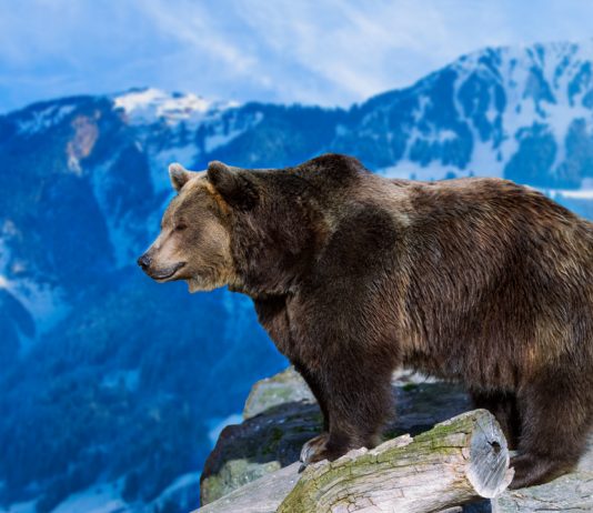 Bitcoin Goes Beyond $100 Billion, Yet Former Wall Streeter Still Isn’t Bullish