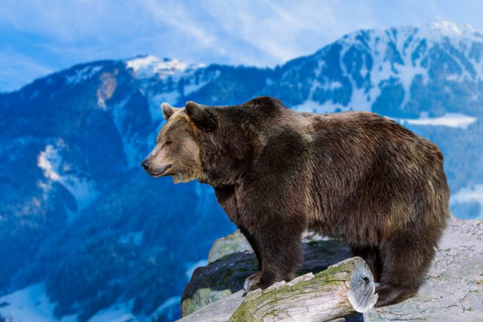 Bitcoin Goes Beyond $100 Billion, Yet Former Wall Streeter Still Isn’t Bullish