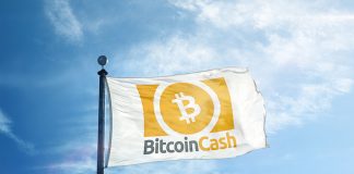 After Rising Over 5%, Experts Think Bitcoin Money (BCH) Has More Space to Pump