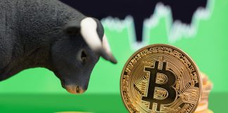 Bitcoin (BTC) Up 8.2 Percents as More Americans Hold