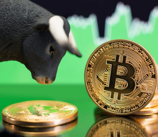 Bitcoin (BTC) Up 8.2 Percents as More Americans Hold