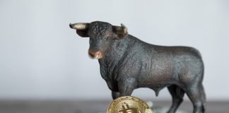 As Bitcoin Relocations Towards $6,000, The Case for an Impending Booming Market Grows Stronger