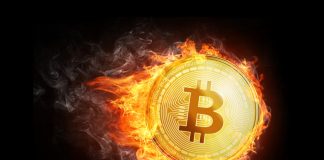 Experts Roar As Bitcoin Tops $6,700, Brief Capture May Sustain Crypto Rally