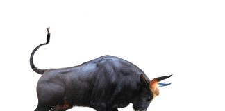 Within Minutes, Bitcoin Spikes 4% as Bitfinex Raises Staggering $1 Billion