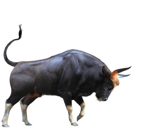 Within Minutes, Bitcoin Spikes 4% as Bitfinex Raises Staggering $1 Billion