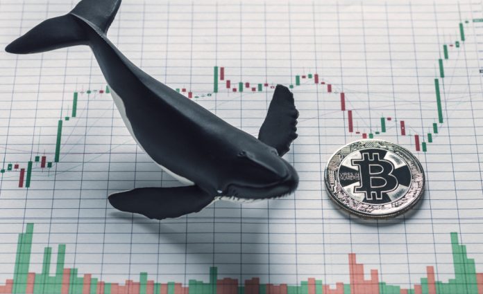 Expert: Continuous Bitcoin Rally Driven by a Handful of Strategic Purchasers; Where Will They Send Out BTC Next?