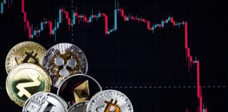 Is Continuous Bitcoin Rate Boom a Pump-and-Dump Action?