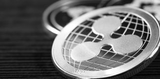What Could Have Led Ripple (XRP) To Rise Over 20% After Months of Darkness?