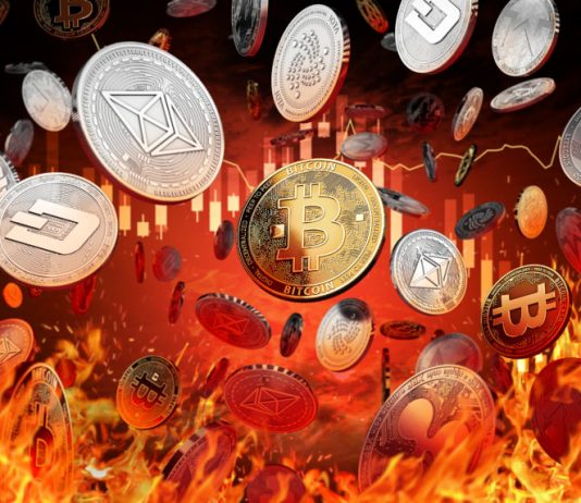 Altcoin Trader: Alt Bitcoin Bear Cycle Nearly Over, 600% Gains Throughout Bull Cycle Expected