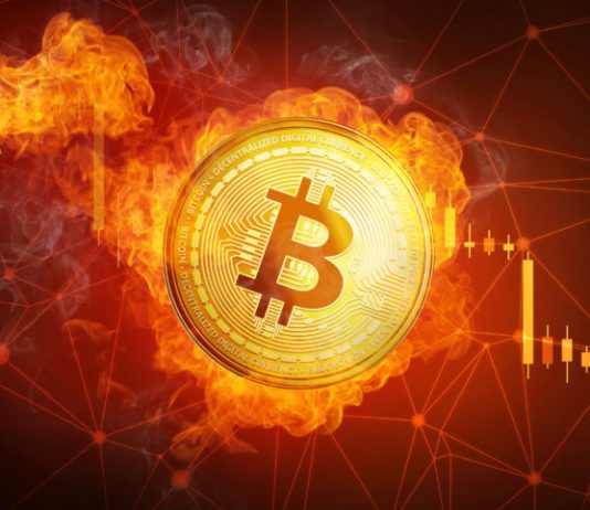 NTV Divergence Reaches Booming Market “Mania” Levels, Bitcoin Rate Boost Not Organic