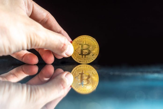 Inverted Chart Shows Bitcoin Cost Following Bear Bottom To Booming Market Fractal