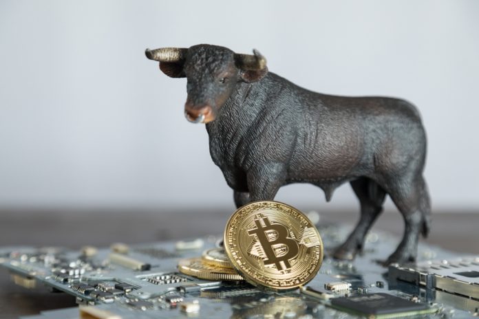 Expert: As Long as Bitcoin Holds Above $6,400 The Case for BTC Bulls is Strong
